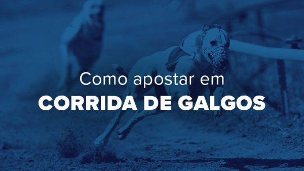 corrida de galgos